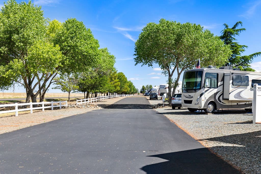 A paved lane at Fairgrounds RV Park lined with mature shade trees and parked RVs.